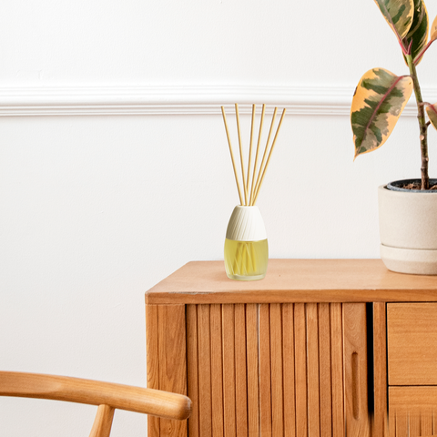 KIT NOBUGS ECO PROTEÇÃO TOTAL